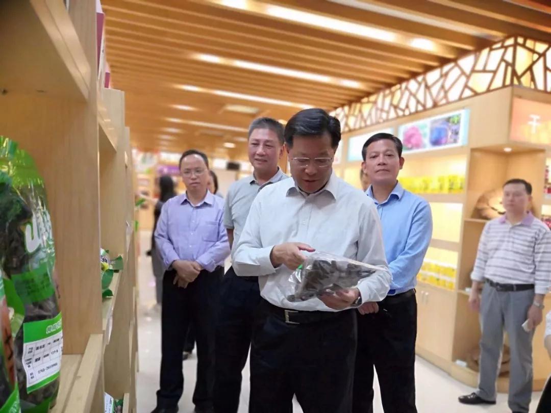 省政协党组副书记、副主席林雄在英德调研。