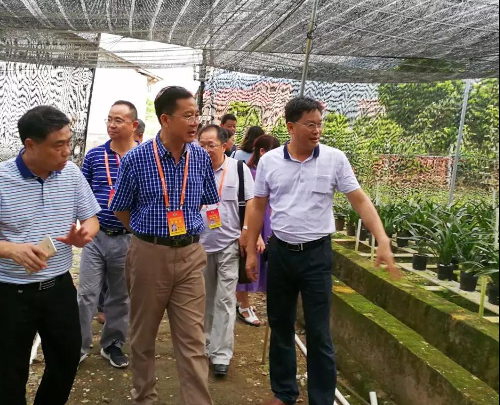 梁积福带队到连南专题视察精准扶贫工作 (2)