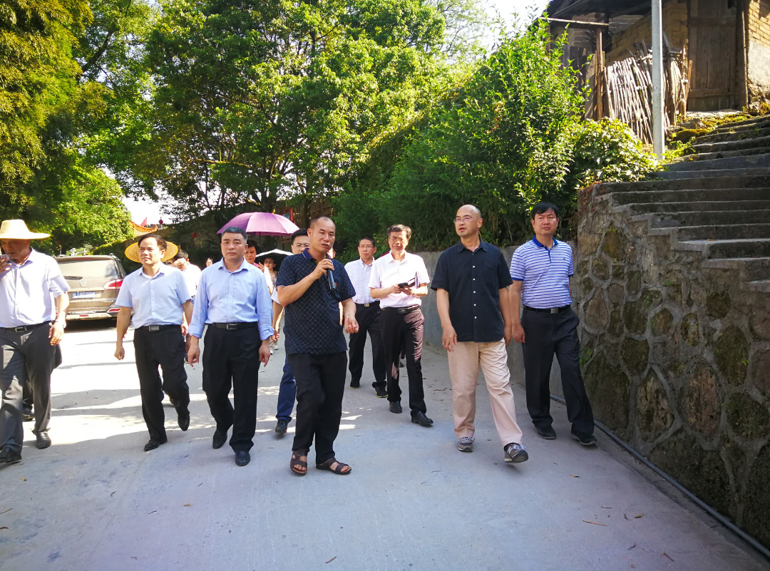 省政协副主席刘日知带队到清远连南调研民族地区乡村振兴情况 (3)