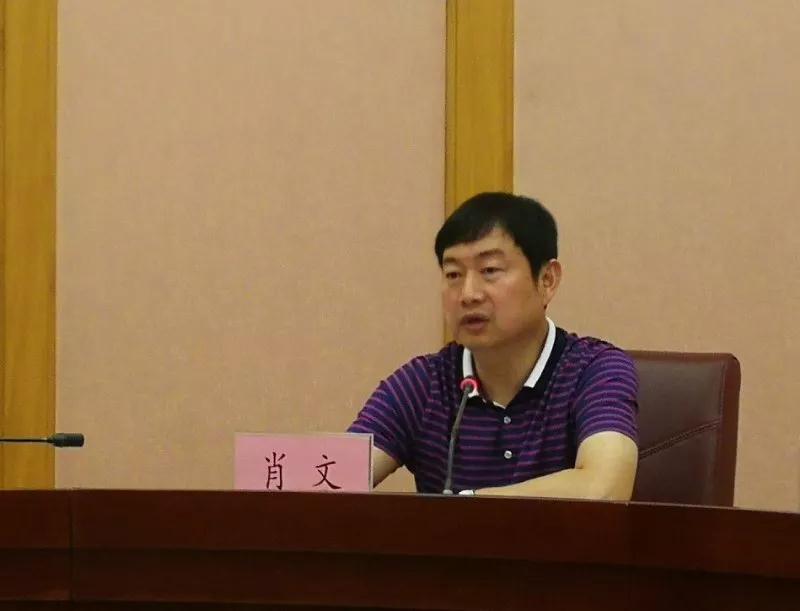 肖文参加对口协商专题会议 (3)