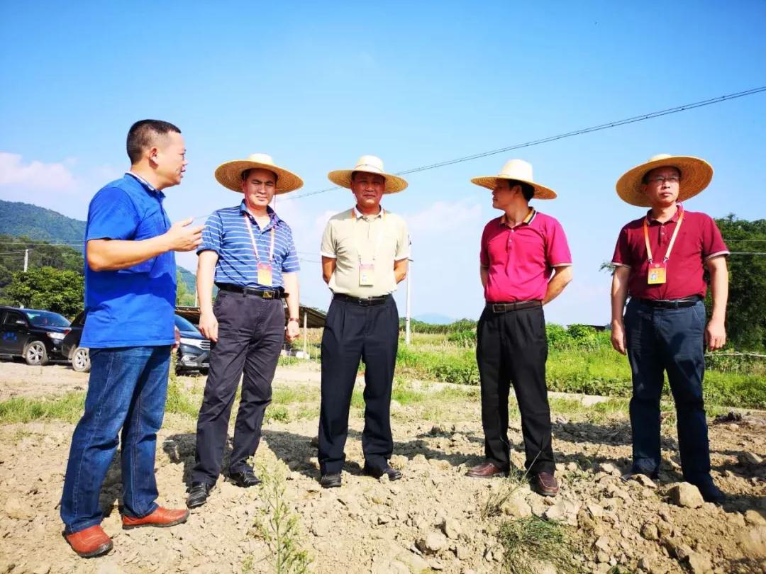 梁志强带队到英德专题视察精准扶贫精准脱贫工作 (4)