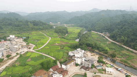 △ 连樟村，散落在长长的谷地中。（央视记者 辛亮仪 唐耿澈拍摄）