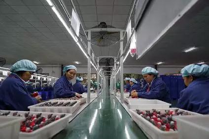 △ 车间里加工玩具的女工。（央视记者沈忱拍摄）