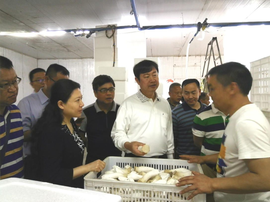 调研组一行参观遂宁市射洪县峻原农业园
